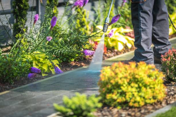 Best Winterizing Services  in Bowling Green, FL